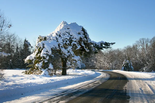 Estrada de inverno no campo — Fotografia de Stock