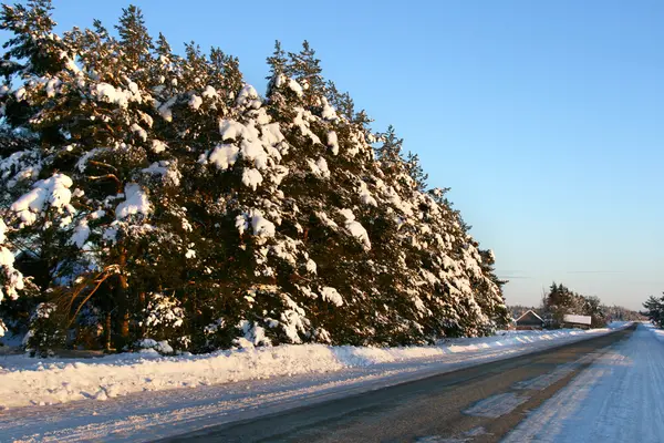 Winter road in countryside — Stock Photo, Image