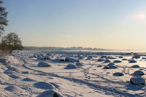 Winterlandschap op de Baltische Zee — Stockfoto