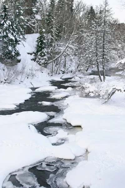 Winter landscape in Estonia — Stock Photo, Image