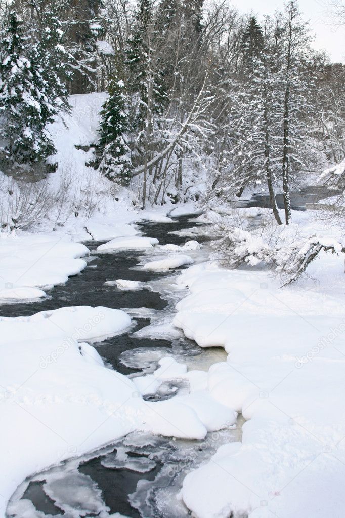 Winter landscape in Estonia