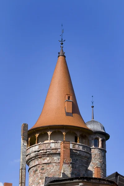 Cesvaine 宫的塔 — 图库照片