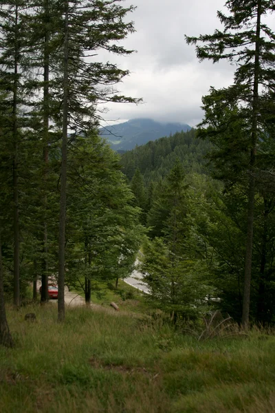 Vista en carretera en la montaña de Eslovaquia —  Fotos de Stock