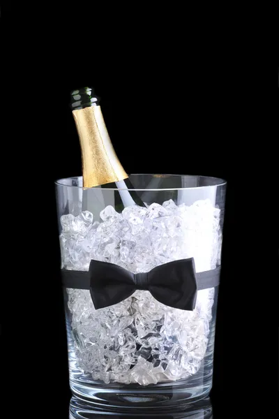 Ведро шампанского с бантом — стоковое фото