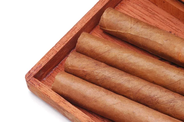 Cigarros en caja de madera — Foto de Stock