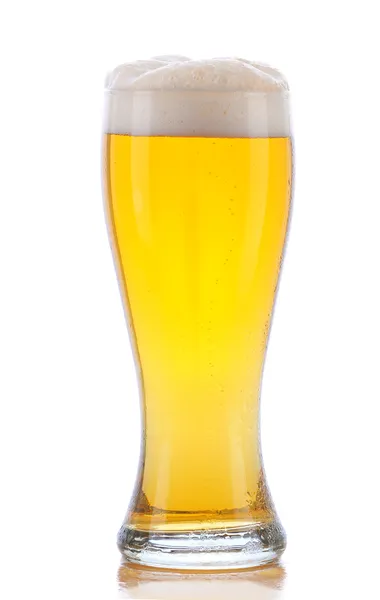 Glass of Beer Stock Image