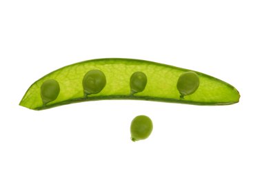 Green Pea clipart