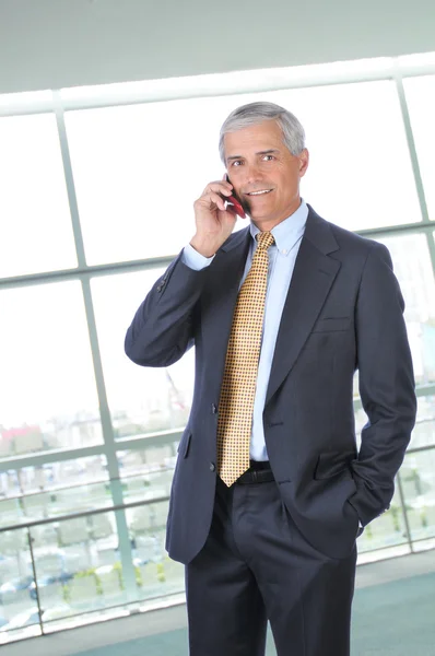 Бизнесмен разговаривает по мобильному телефону — стоковое фото