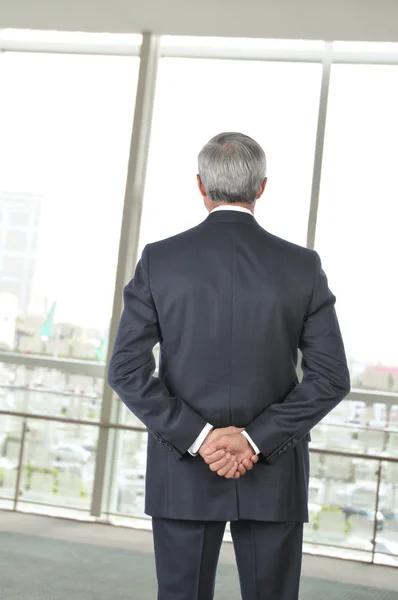 Businessman Seen From Behind — Stock Photo, Image
