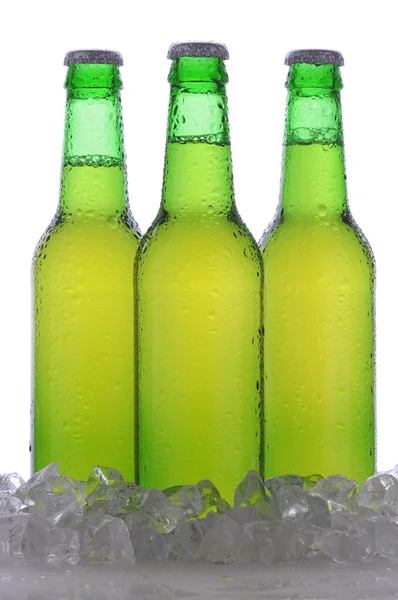 Три пляшки зеленого пива — стокове фото