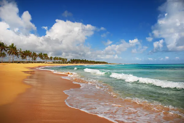 Экзотический пляж на тропических островах Стоковое Фото