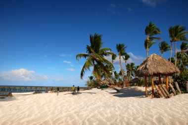 Exotic Beach in Dominican Republic clipart