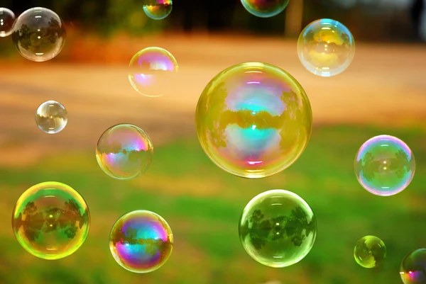 Мыльные пузыри осени — стоковое фото