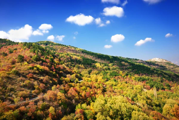 Montagne d'automne colorée — Photo