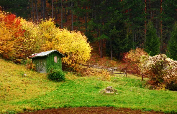 森林中的小房子 — 图库照片