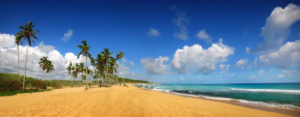 热带异域风情的海滩，蓬塔卡纳 — 图库照片