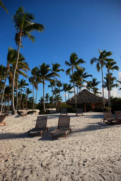 Plaj sandalyeleri Dominik Cumhuriyeti — Stok fotoğraf