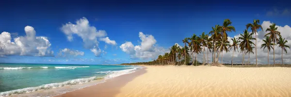 Tropiska exotiska stranden i Punta cana Stockbild