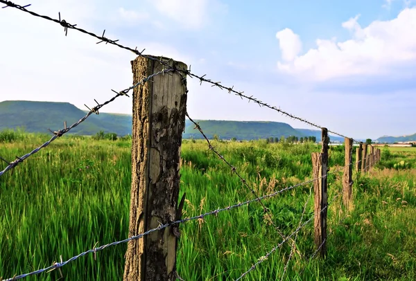 stock image Meadow with fence