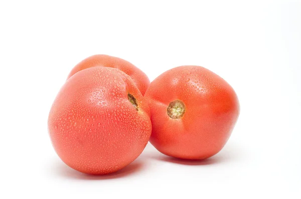 Dojrzałe pomidory — Zdjęcie stockowe
