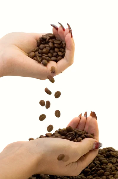 Kvindelige hænder og kaffe - Stock-foto