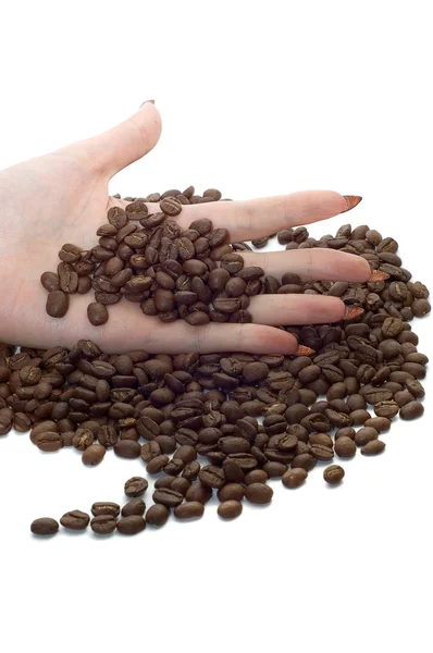 Main féminine et grains de café — Photo