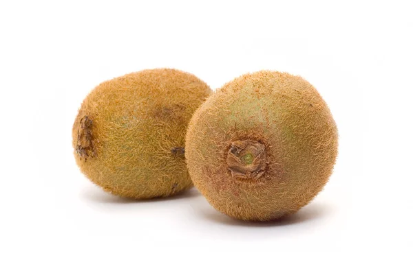 stock image Kiwi