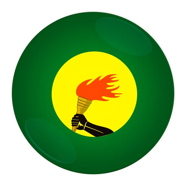 Botão Zaire com bandeira — Fotografia de Stock