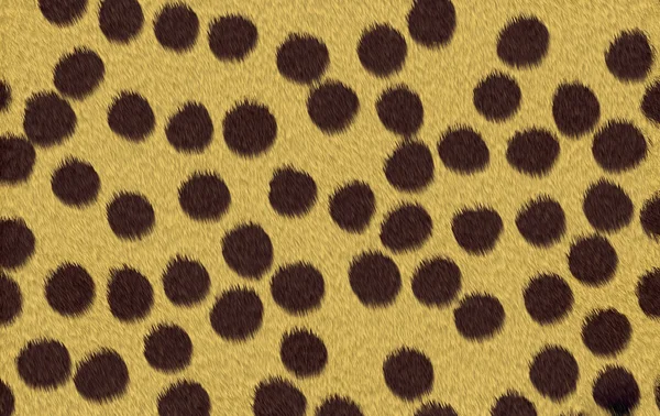 Cheetah textuur achtergrond — Stockfoto