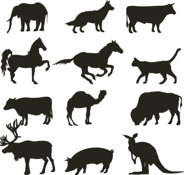 Vector animals clipart