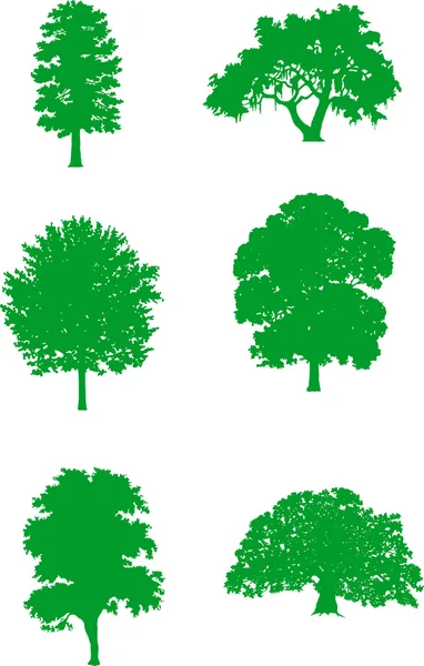 Arbres verts — Image vectorielle