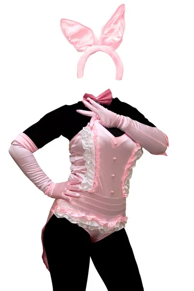 Sexy bunny costume — Stock Photo, Image