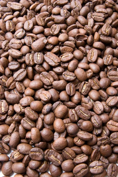 Offee beans — Stock Photo, Image
