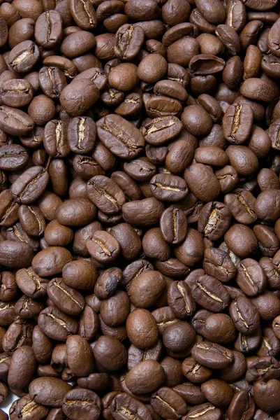 Group coffee beans — Stock Photo, Image