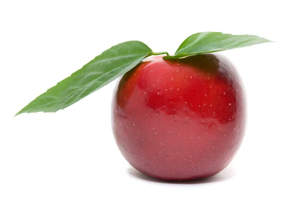 Ripe fresh red apple with leaves — Stock Photo, Image