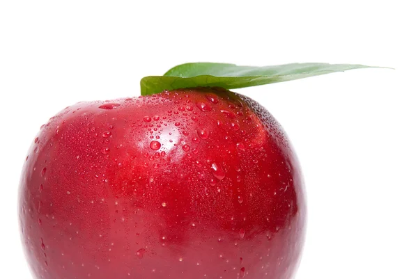 Pomme rouge fraîche mûre — Photo
