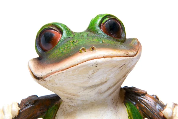 stock image Frog macro