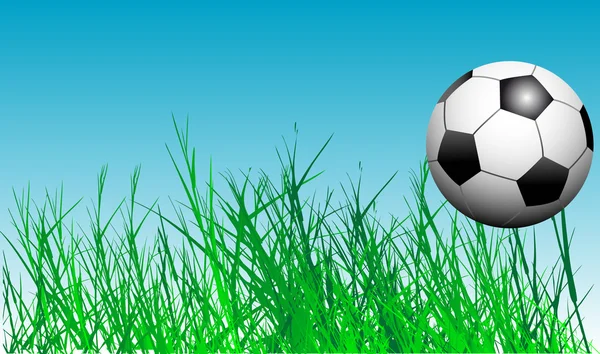 Voetbal in het gras — Stockvector