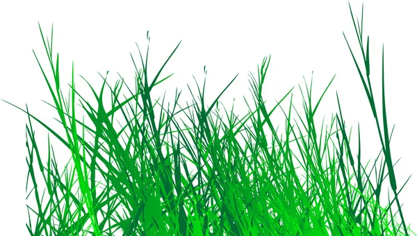 Vecteur d'herbe — Image vectorielle