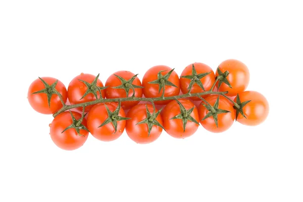 熟した赤いトマト — ストック写真