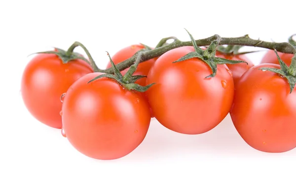 完熟トマト — ストック写真