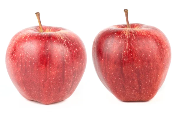 stock image Two apples