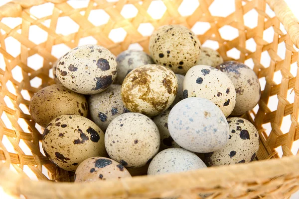 Αυγά ορτυκιού — Φωτογραφία Αρχείου