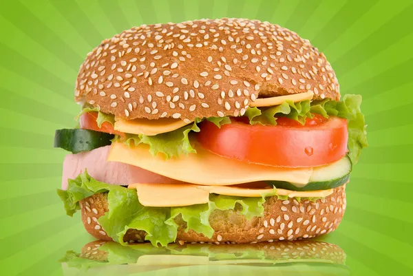 Tasty Burger — Stockfoto