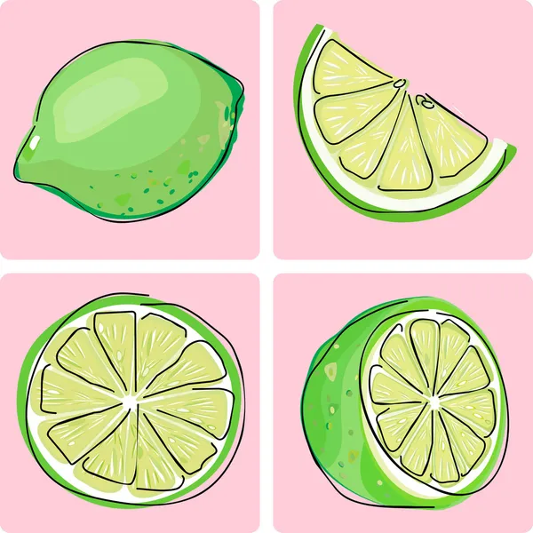 Set de iconos - fruta de lima — Vector de stock