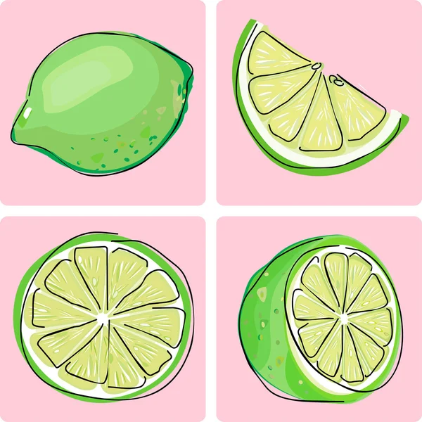 Ikonuppsättning - lime frukt Vektorgrafik