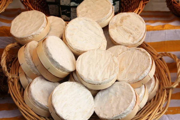 Queso Brie francés en exhibición Fotos de stock libres de derechos