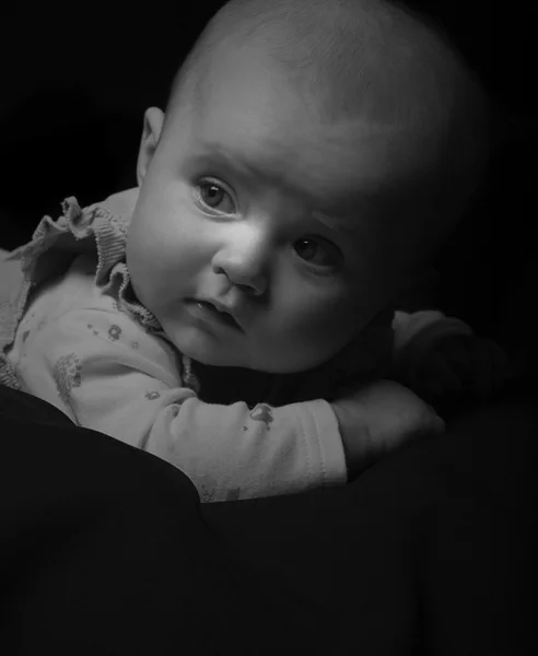 Retrato bajo de un bebé de cinco meses —  Fotos de Stock