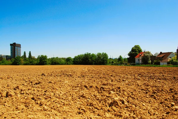 비옥한 토양 — 스톡 사진