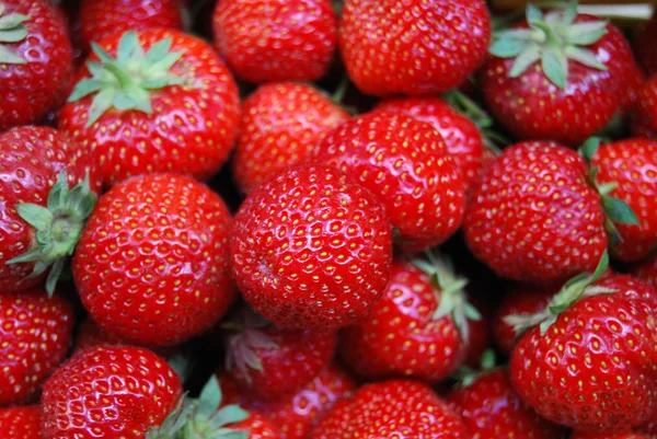 Banyak strawberry — Stok Foto